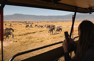 Safari Tours